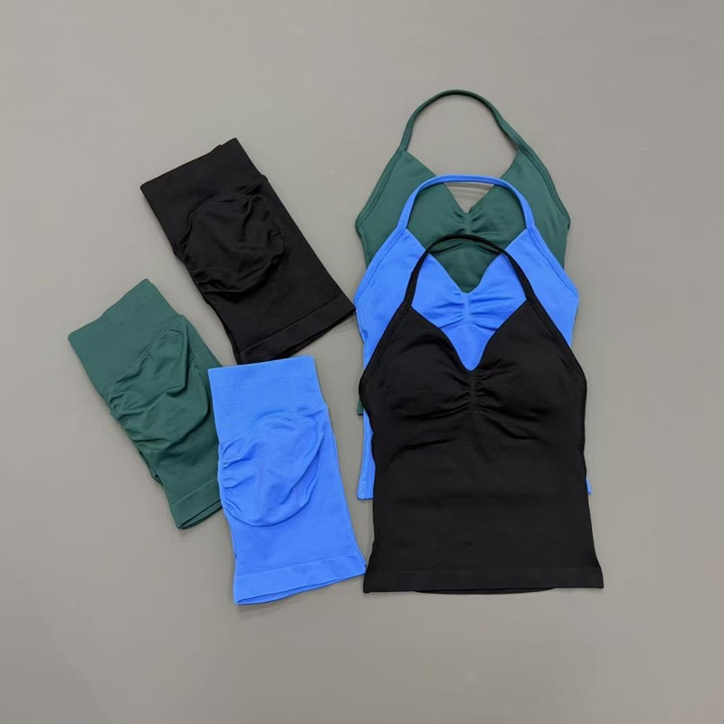2 Piece Gym Set Women Seamless - Herbal Yoga 리뷰 및 가격
